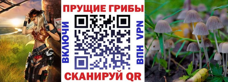 Галлюциногенные грибы ЛСД Лахденпохья